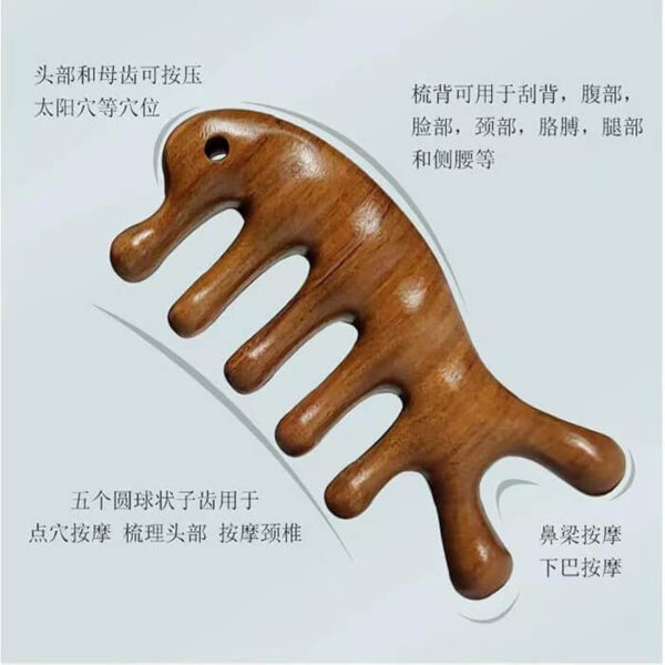 گواشا چوبی دلفینی یا 7 سر اکلادویی کره ای
